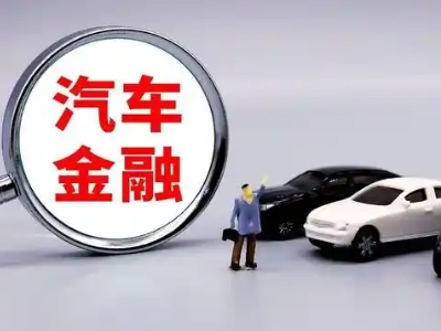 舒城押车贷款不是本人可以么?